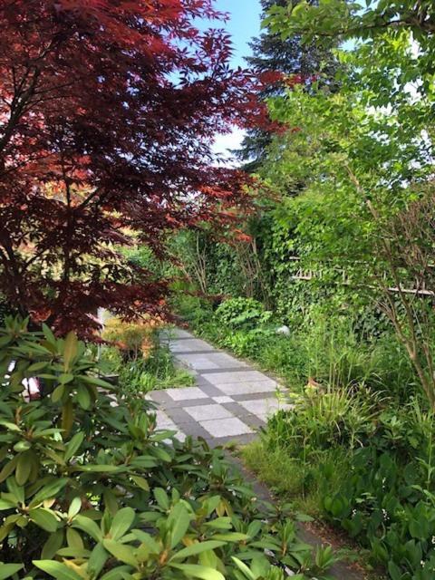 B - Sunny Business With Roof-top Terrace For 2-4 Guests Apartment *